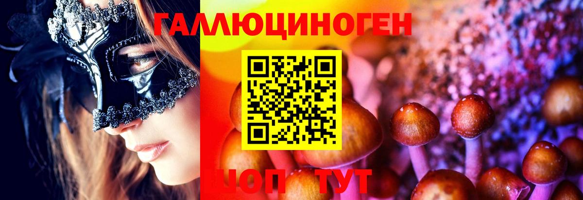 Псилоцибиновые грибы MAGIC MUSHROOMS Татарск